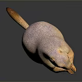 Realistic Prairie Dog 3D Model Standing On Hind Legs With Detailed Fur