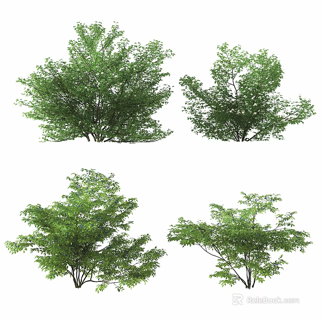 Green Shrubs in Different Varieties for Garden Landscaping 3d model
