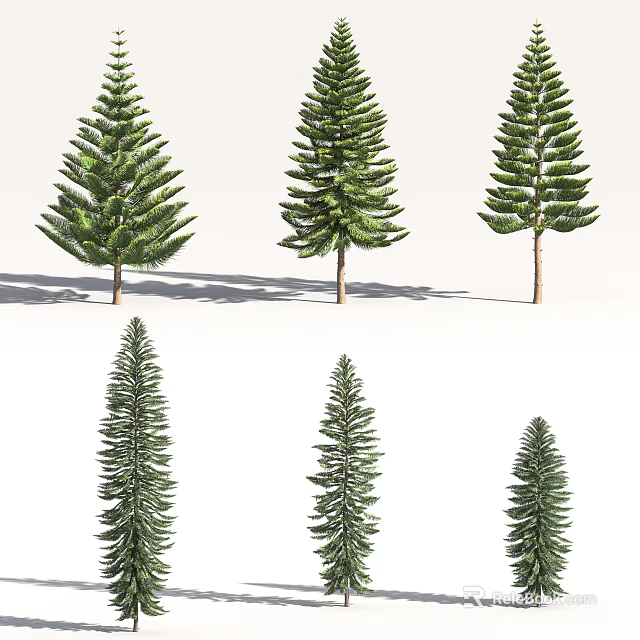Various Arbor Trees With Green Foliage And Brown Trunks In Different Sizes 3d model