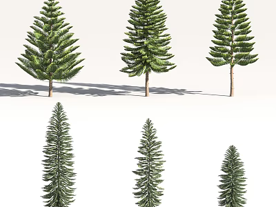 Various Arbor Trees With Green Foliage And Brown Trunks In Different Sizes 3d model