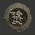 Rough Textured Bowl Shaped Container Holding White Elongated Larvae Creatures 3d model