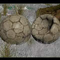 Two Vintage Textured Soccer Balls Lying On Natural Grass Field Outdoor