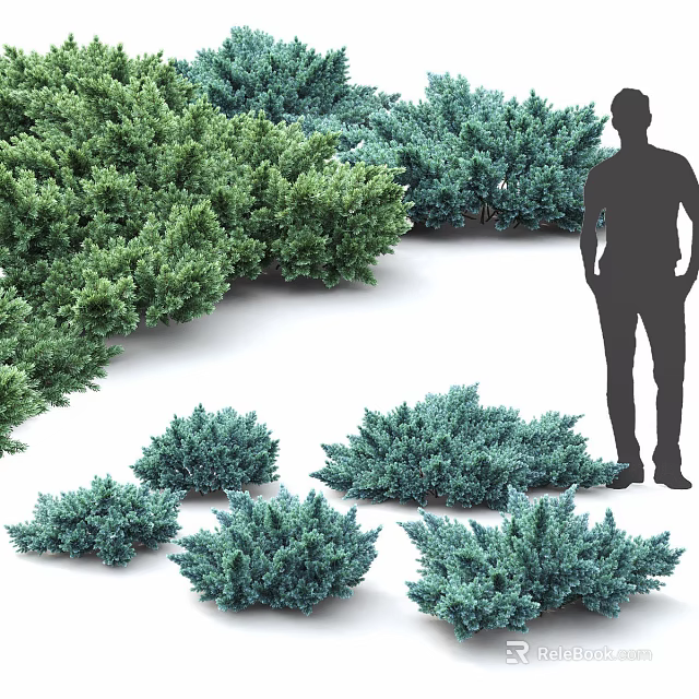 Various Green Shrubs with Dense Foliage and Human Silhouette for Landscaping 3d model 