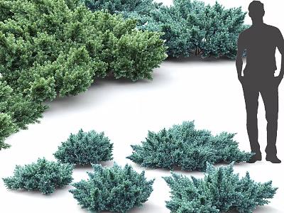 Various Green Shrubs with Dense Foliage and Human Silhouette for Landscaping 3d model