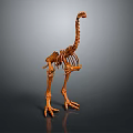 Detailed Brown Bird Skeleton With Long Neck Legs And Gray Reflective Background