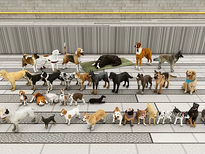 Various Dog Breeds Standing Together On Tiled Floor Indoors 3d model