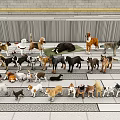 Various Dog Breeds Standing Together On Tiled Floor Indoors