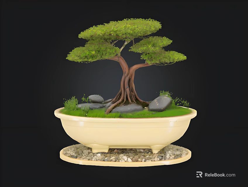 Artistic Bonsai Tree In Cream Ceramic Pot With Exposed Roots Green Foliage And Stones 3d model 