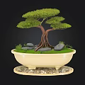 Artistic Bonsai Tree In Cream Ceramic Pot With Exposed Roots Green Foliage And Stones