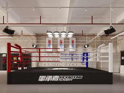 Kickboxing Fitness Training Area With Boxing Ring Red White Ropes And Ceiling Lighting 3d model