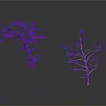 Two Dry Leafless Trees With Bare Branches And Twisted Trunks 3d model