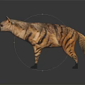 Striped Hyena With Brown And Black Fur Standing On Reflective Ground
