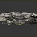 Natural Wood Stone Decorative Piece With Rough Natural Texture And Gray White Color Patterns
