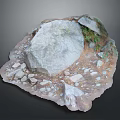 Natural Wood Stone Decorative Display With Large Rock Small Stones And Green Plants