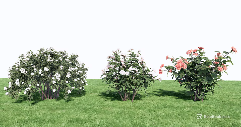 Colorful Flowering Bushes With White Pink White And Pink Blooms On Green Grass 3d model 