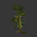 Detailed Plant Branch With Green Leaves Yellow Flowers And Small Pods