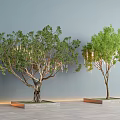 Arbor Landscape Big Tree Hanging Light Atmosphere Light Landscape Light Star Light Wishing Tree Ancient Tree 3d model