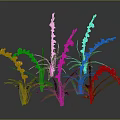 Colorful Decorative Flowering Plants With Green Leaves And Bright Multicolored Blooms