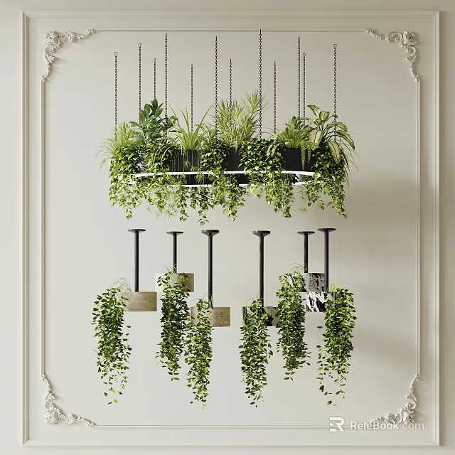 Hanging Basket Plants with Lush Green Foliage Suspended from Ceiling in Stylish Indoor Decor 3d model 