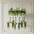 Hanging Basket Plants with Lush Green Foliage Suspended from Ceiling in Stylish Indoor Decor