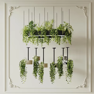 Hanging Basket Plants with Lush Green Foliage Suspended from Ceiling in Stylish Indoor Decor 3d model