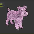 Black and White Schnauzer Dog Standing on Reflective Floor with Gray Background