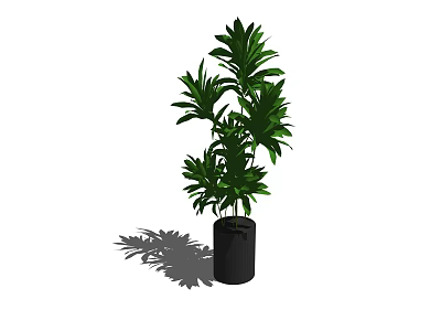 Lush Green Bonsai Potted Plant With Black Pot And Multiple Leaf Layers 3d model