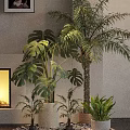 Best Indoor Hanging Basket Plants With Lush Green Leaves For Modern Home Decoration