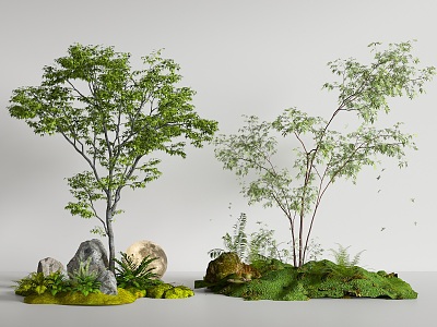 Modern Plant Combinations 3d model