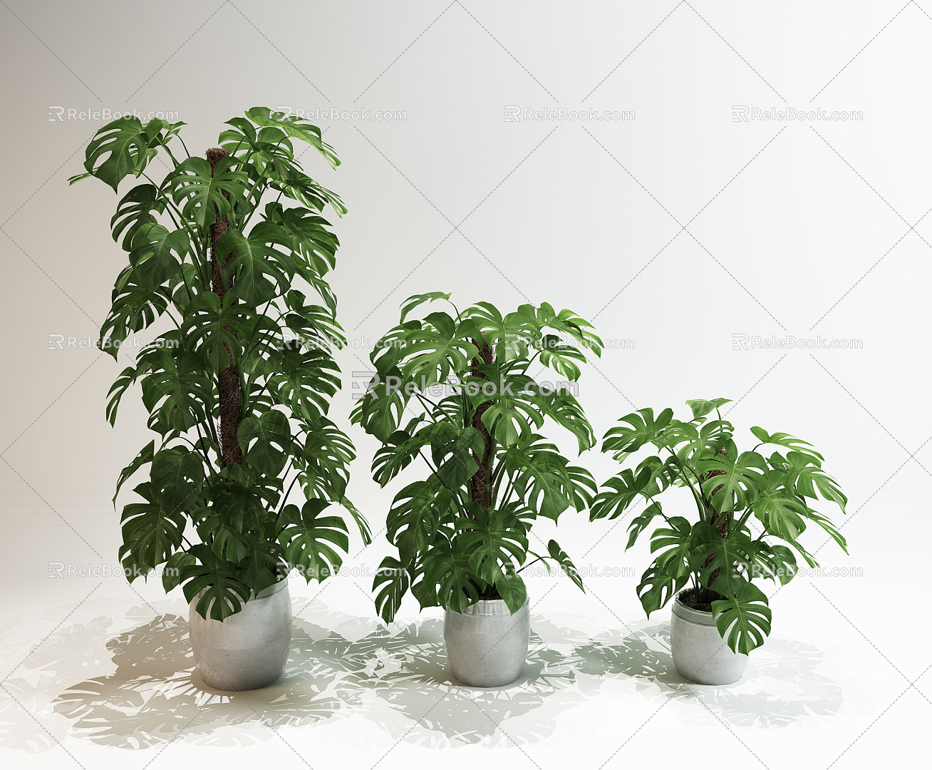 Modern potted indoor plant combination 3d model