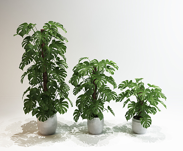 Modern potted indoor plant combination 3d model