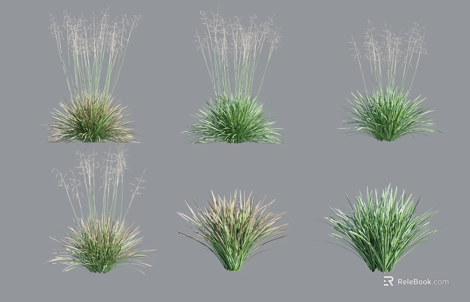 Different Types Of Potted Ornamental Grass Plants With Green And Brown Foliage 3d model 