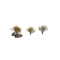 Stylish Black Tree Planters With Yellow Leaf Trees And Gravel Surroundings