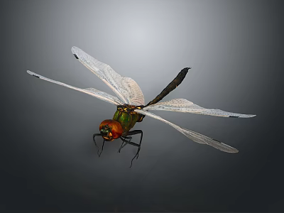 Vibrant Dragonfly With Green Body Red Head And Transparent Wings On Dark Background 3d model