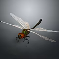 Vibrant Dragonfly With Green Body Red Head And Transparent Wings On Dark Background