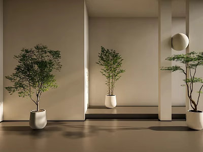 Three Potted Bonsai Plants In Modern Interior With Light Walls Floors Mirror And Round Decor 3d model