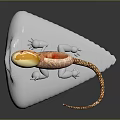 Orange and White Spotted Lizard with Yellow Head Structure on White Rock Against Dark Background