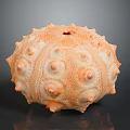 Spiky Orange Sea Urchin Shell Home Decor Accessory With Round Holes And Spherical Design