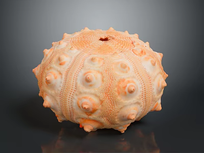 Spiky Orange Sea Urchin Shell Home Decor Accessory With Round Holes And Spherical Design 3d model