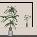 Interior Plant Decor With Backlit Rectangular Frame Large Fern And Small Greenery 3d model