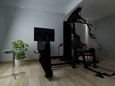 Home Gym Interior With Multifunctional Fitness Equipment And Modern Workout Setup 3d model