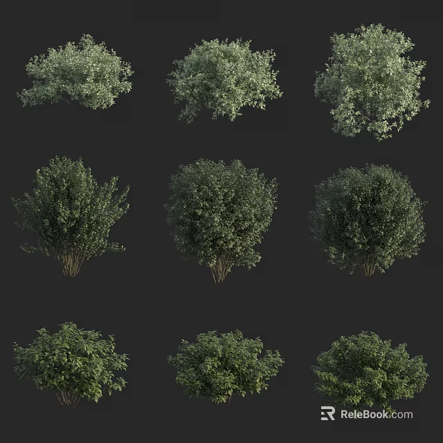 Various Green Bushes with Lush Foliage and Diverse Shapes for Landscaping 3d model 
