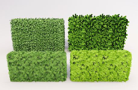 Modern shrub bush hedge plant wall 3d model