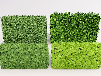 Modern shrub bush hedge plant wall 3d model