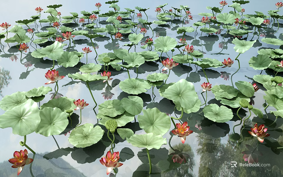 Red Lotus Flowers and Green Lily Pads Floating on Water with Sky Tree Reflections 3d model 