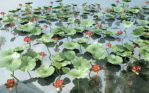 Modern lotus leaf lotus root combination 3d model