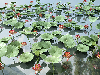 Modern lotus leaf lotus root combination 3d model