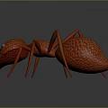 Red Ant 3D Model With Detailed Texture On Gray Background And Reflection