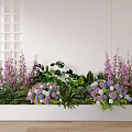Indoor Flower Arrangement With Purple Blooms White Hydrangeas Green Foliage And Wooden Floor