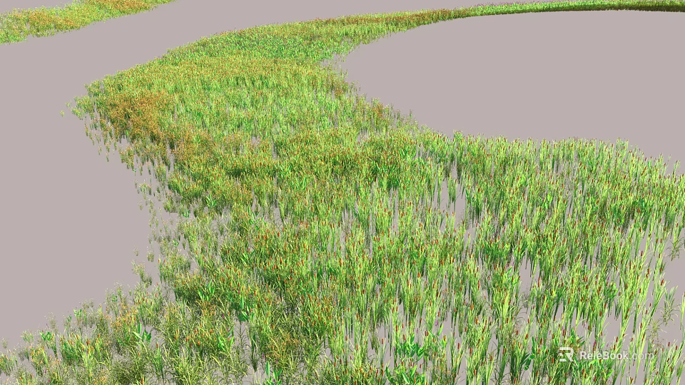 Aquatic Plants Thriving in Shallow Water With Green Foliage and Natural Growth Environment 3d model 